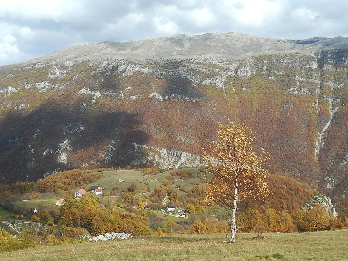 Hotel Vignjista Plužine Exteriér fotografie